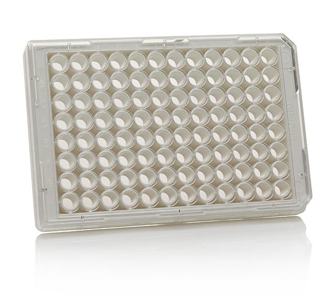 Thermo Scientific Nunc MicroWell 96-Well