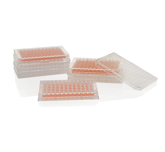 Thermo Scientific Nunc MicroWell 96-Well