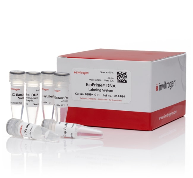 30RXN DNA LABELING SYSTEM .