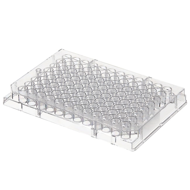 Thermo Scientific 96-Well Platten fu¨r d