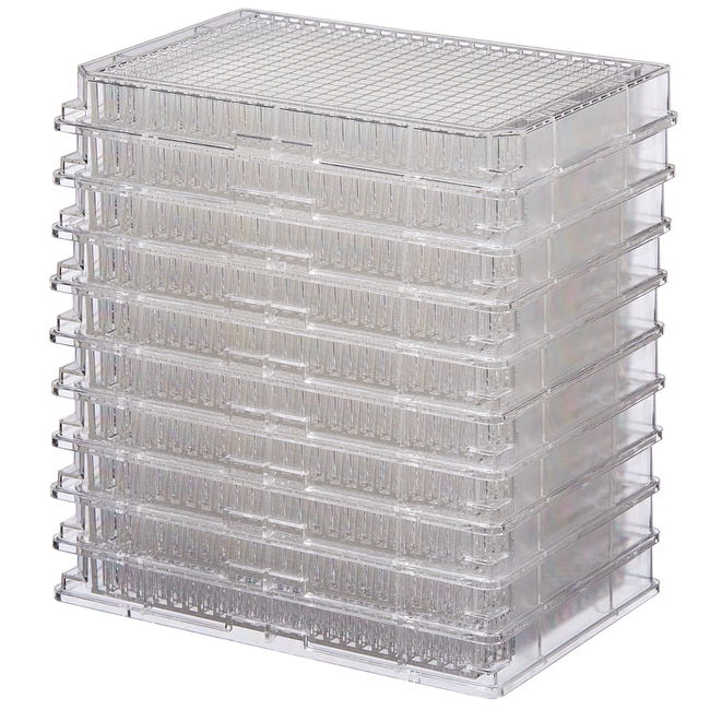 Thermo Scientific Nicht sterile 384-Well