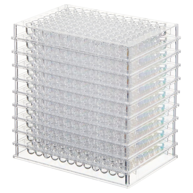 Thermo Scientific Nicht sterile 96-Well-
