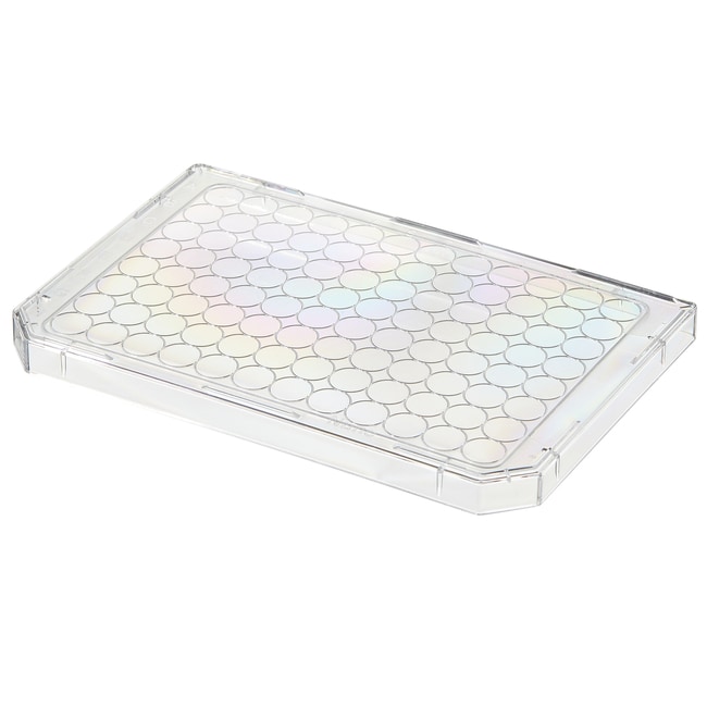 Thermo Scientific Nunc Mikrotiterplatten