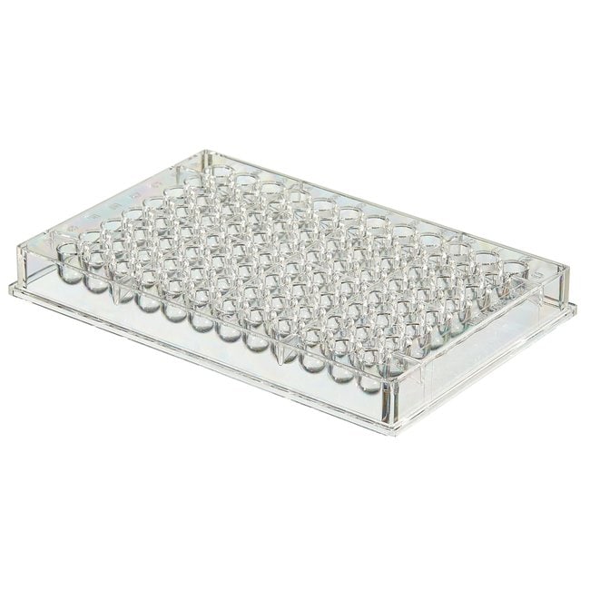 Thermo Scientific Nicht sterile 96-Well-
