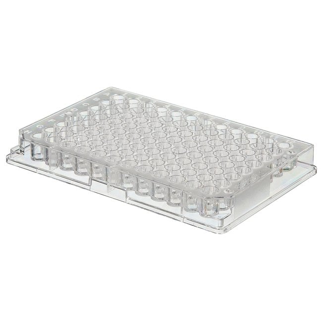 Thermo Scientific Nicht sterile, transpa