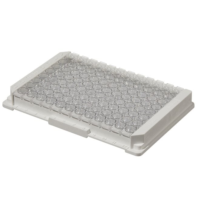 Thermo Scientific Immuno-Clear Standardm