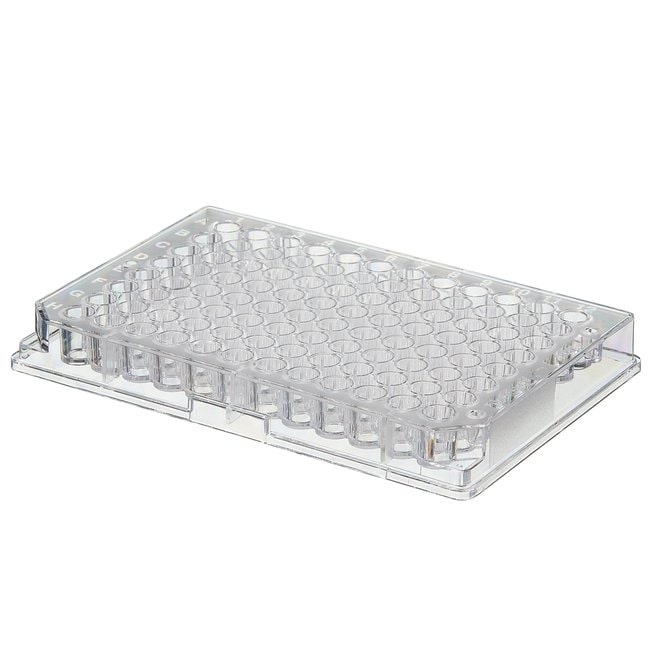 Thermo Scientific Nicht sterile 96-Well-