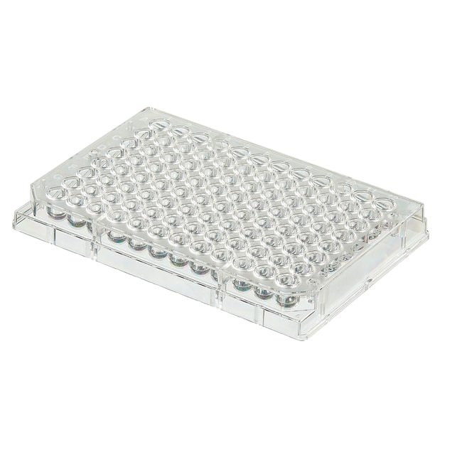 Thermo Scientific Nicht sterile 96-Well-