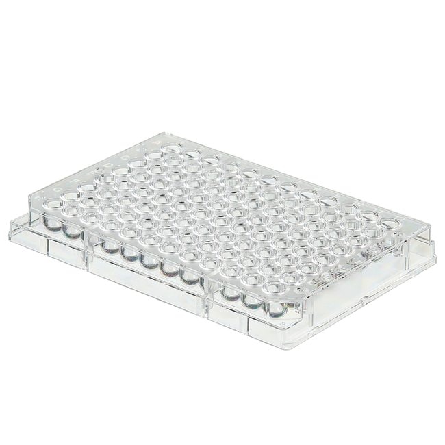Thermo Scientific Nicht sterile 96-Well-