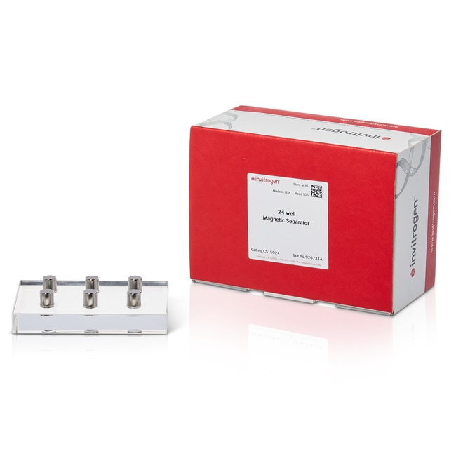 24-well magnetic separator, 1 each