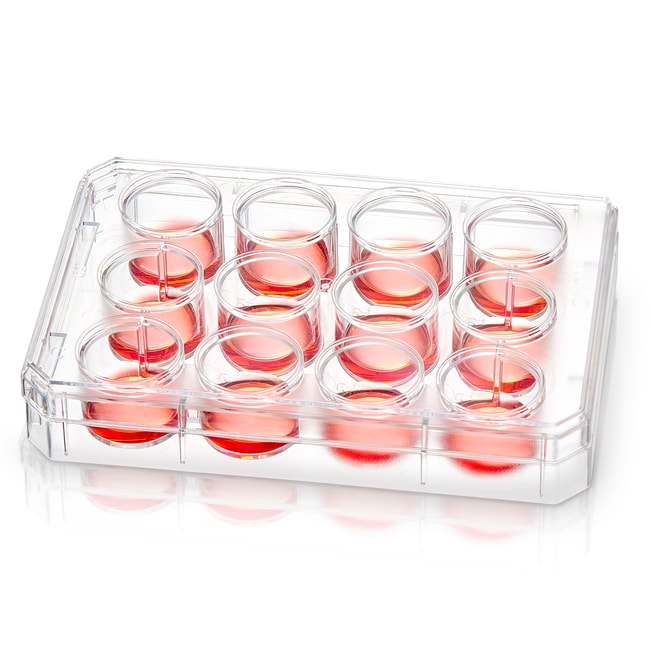 Thermo Scientific Nunc unbehandelte Mult