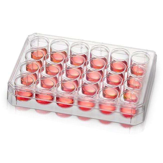 Thermo Scientific Nunc unbehandelte Mult