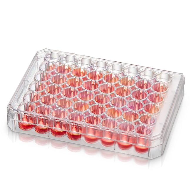 Thermo Scientific Nunc unbehandelte Mult