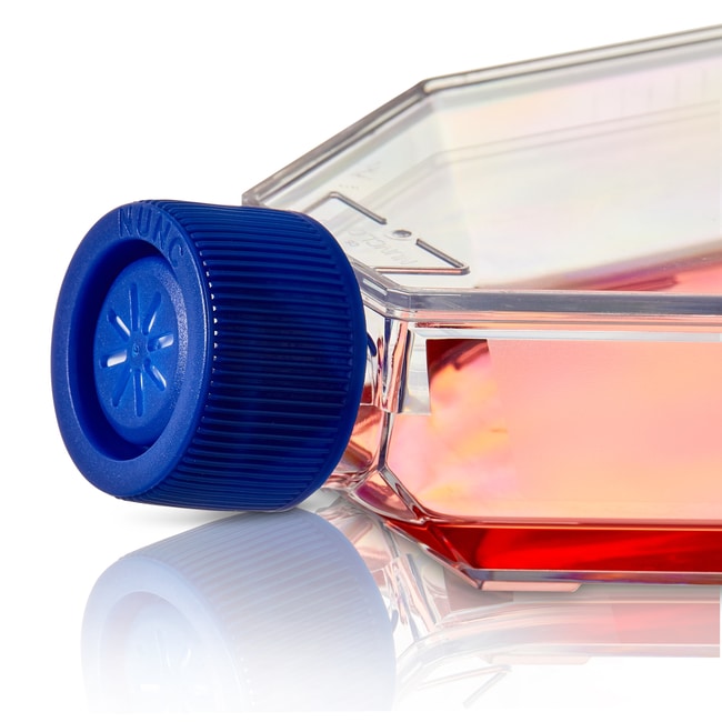 Thermo Scientific Nunc unbehandelte Kolb