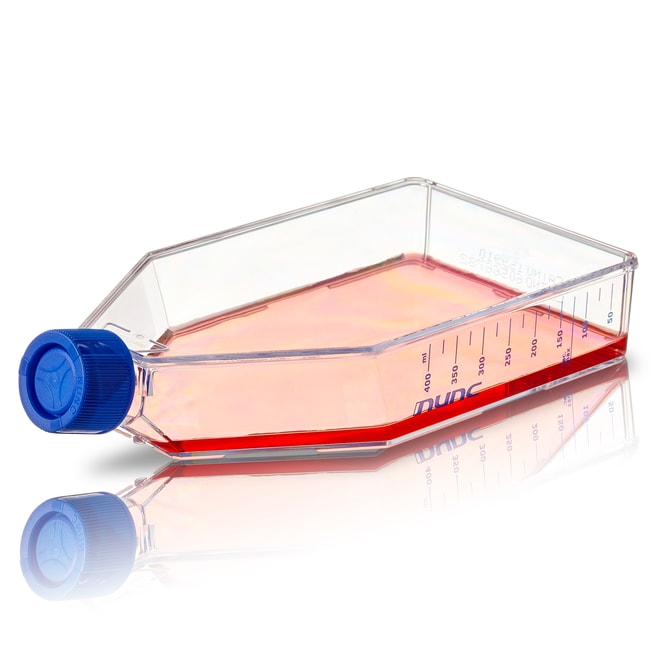 Thermo Scientific Nunc behandelte Zellku