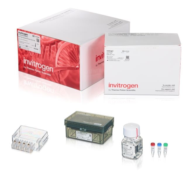 NEONNXT 10UL, 96 X 2 REACTION BOX