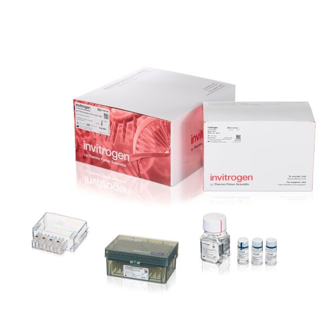 NEONNXT 100UL, 96 X 2 REACTION BOX