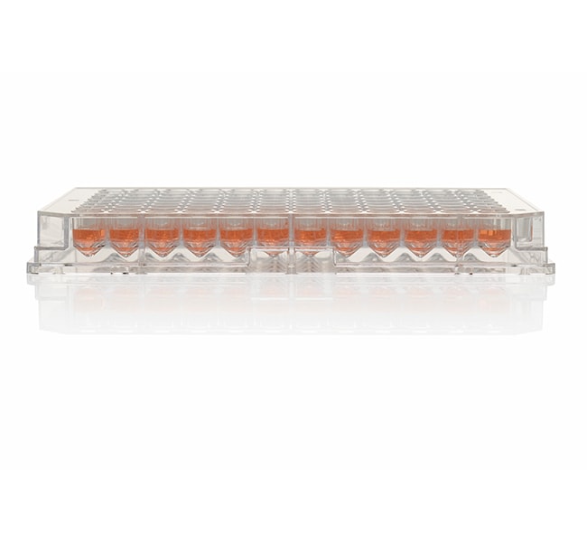 Thermo Scientific Nunc 96-Well Mikrotite