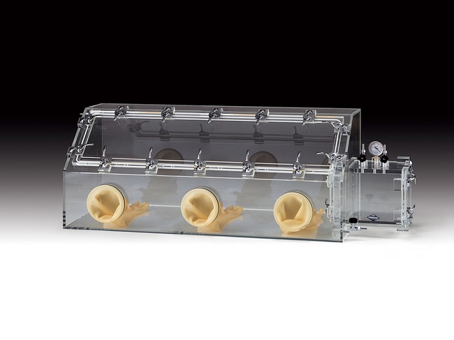 Glove Box Gas Purge type DX-2 JB