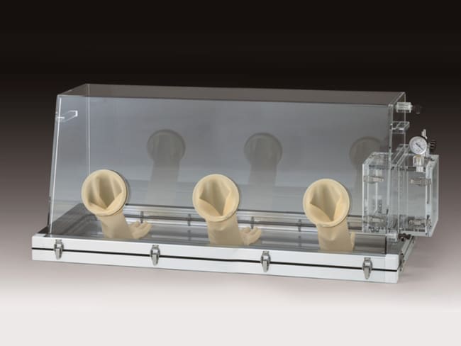Glove Box Gas Purge type GL type