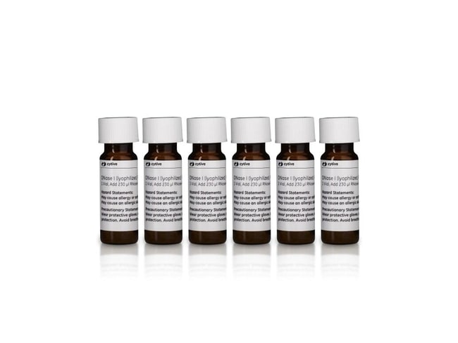 20RXN RNASPIN MINI .