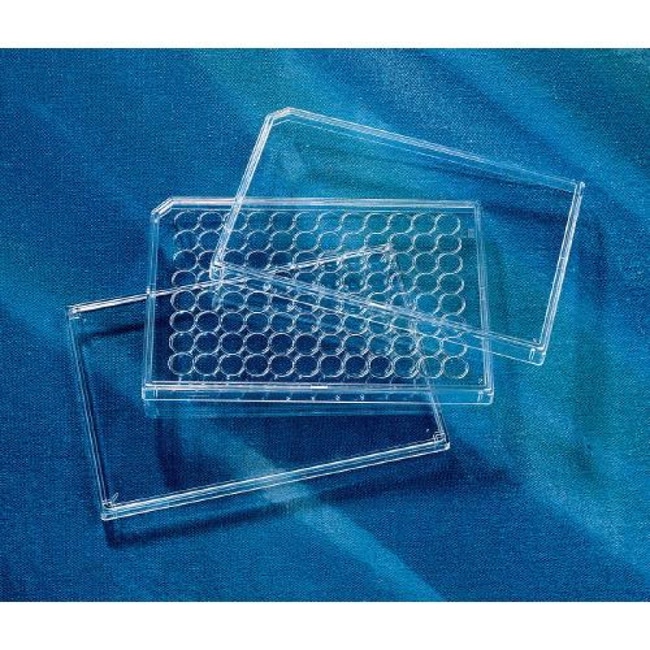 Corning Costar allgemeine Assay-Platten-