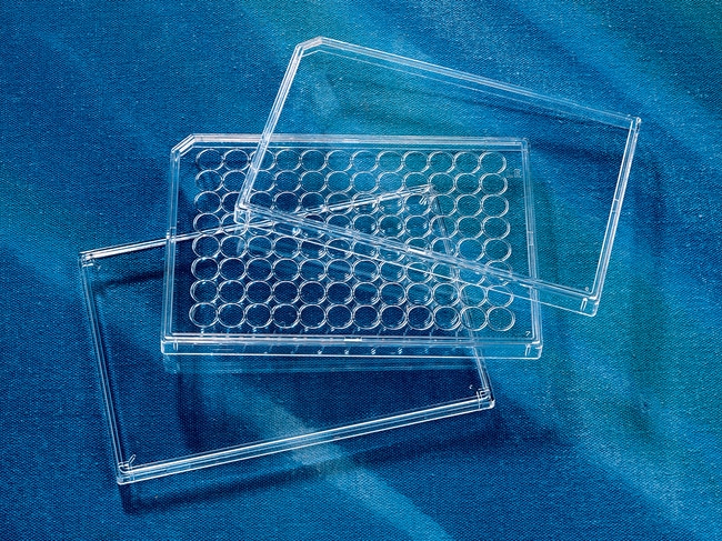 Corning Costar allgemeine Assay-Platten-