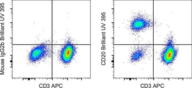 X100 HU CD20 2H7 BUV395 MAB 100T