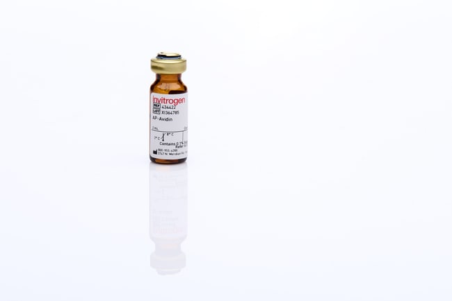 3 MG AVIDIN - AP. REACTIVITY: AP-AVIDIN