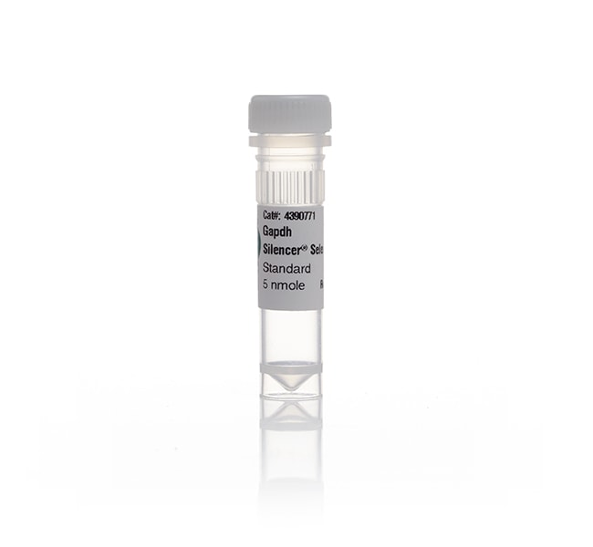 Ambion SILENCER Select Vorkonzipiertes s