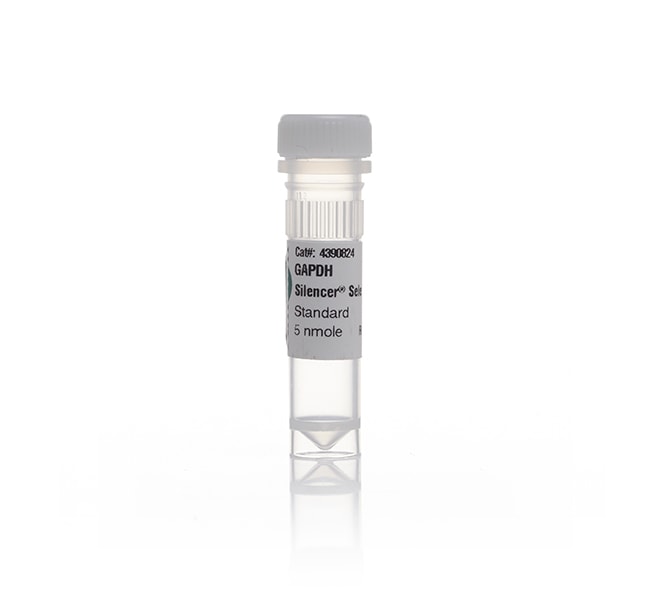 Ambion Silencer Select Validierte siRNA,
