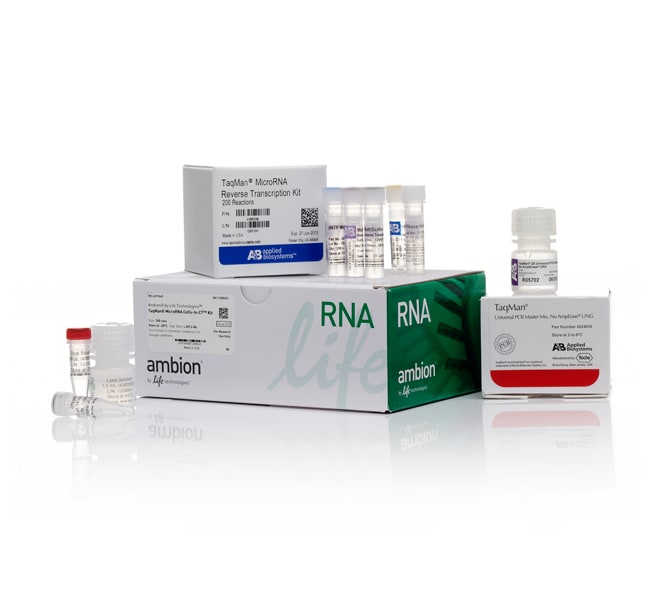100RXN MICRORNA CELLS-TO-CT KIT .