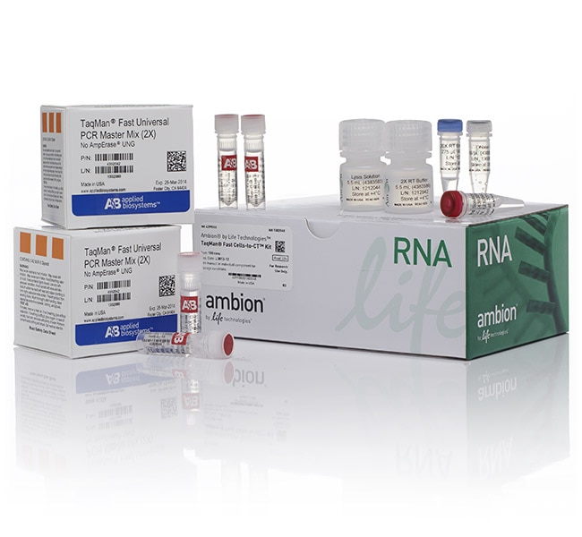 100RXN FAST CELLS-TO-CT KIT      Store a