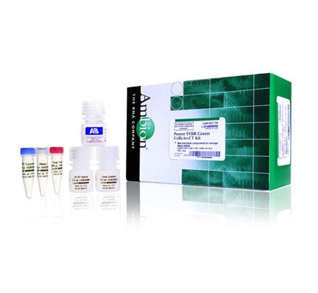 100RXN SYBR, grEEN CELLS-TO-CT KIT .