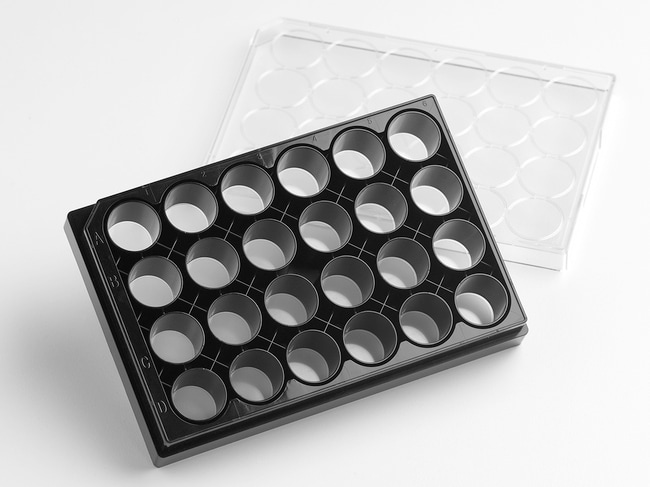 24 Well Black Clear Square  Plasma Treat