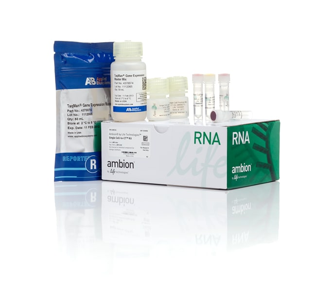 400RXN AMBION SINGLE CELL-TO-CT KIT    S