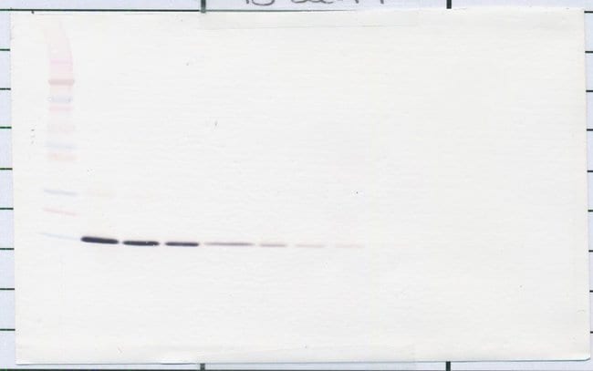 100UG ANTI-HUMAN IL-22 PEPROTECH