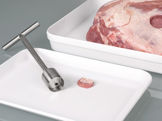 Buerkle BeefSteaker, V2A, 0 25mm, Proben