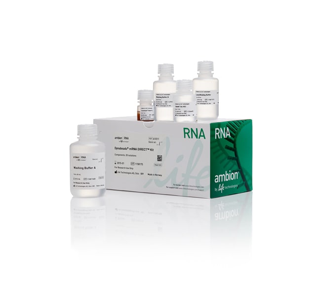 Ambion Dynabeads mRNA DIRECT Reinigungsk