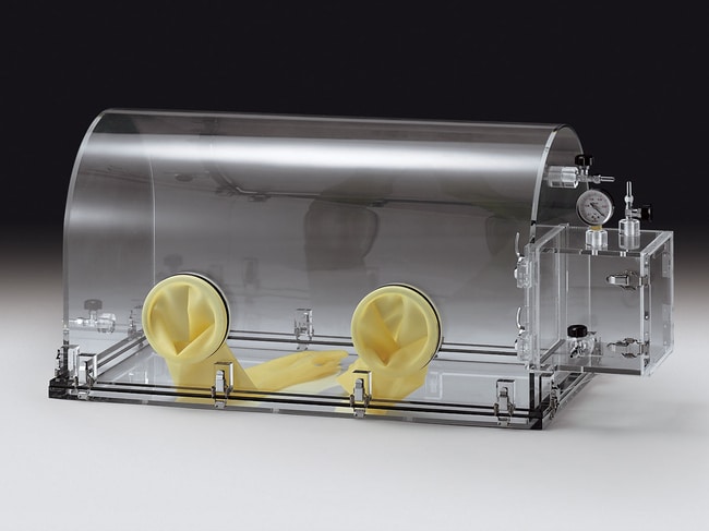 Glove Box Gas Purge type DOM-2