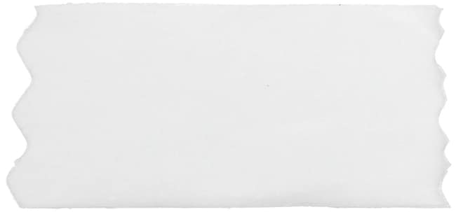 Thermo Scientific Orion Gassensitive ISE