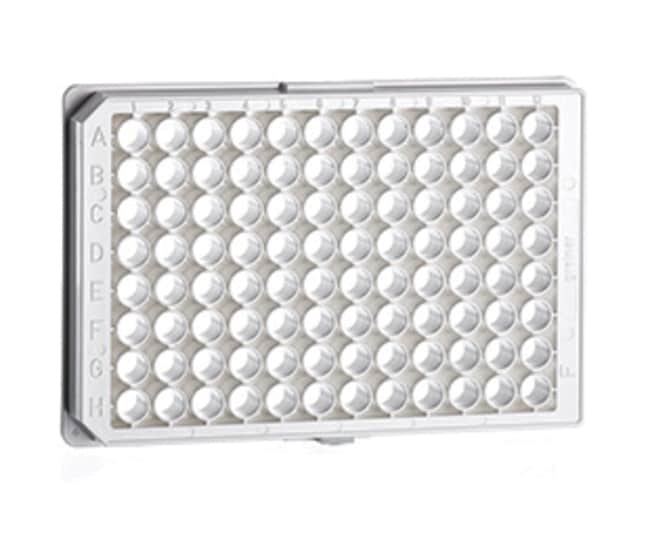 Greiner Bio-One 96-Well Assay-Mikrotiter