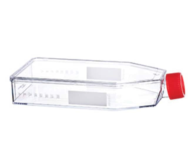 Greiner Bio-One Cellstar Zellkulturkolbe