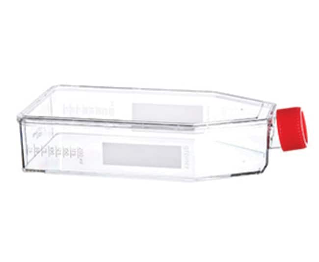 Greiner Bio-One Cellstar Zellkulturkolbe