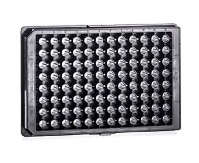 X40 PLATE 96 1/2PUIT µCLEAR BLACK     .