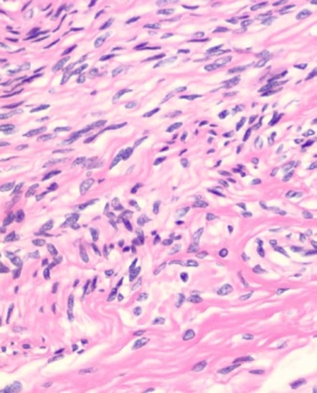 Thermo Scientific Shandon Hamatoxylin na