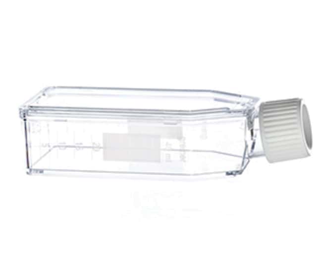 Suspensionskulturflasche,steril,mit Filt