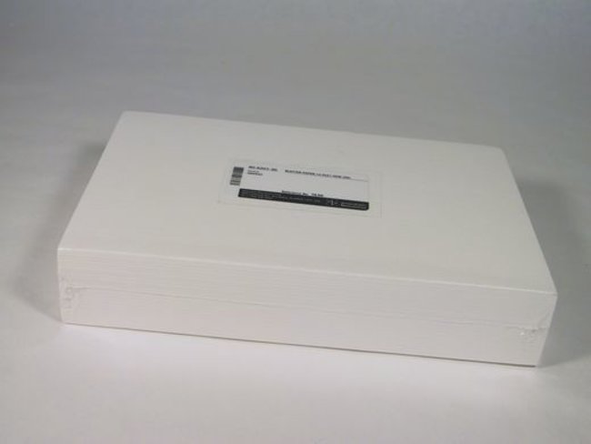 Hoefer Blotting-Papier, Lange: 14.5 cm,
