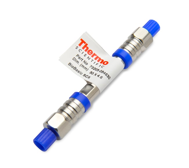 Thermo Scientific BioBasic SCX Saulen, P