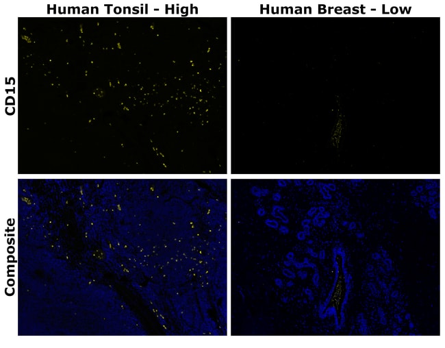 HU CD15 MMA AF514 MAB 500 UL